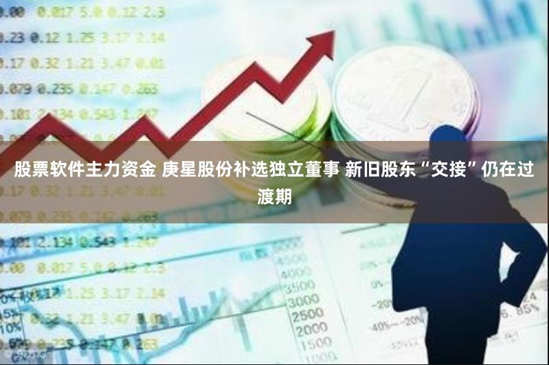 股票软件主力资金 庚星股份补选独立董事 新旧股东“交接”仍在过渡期