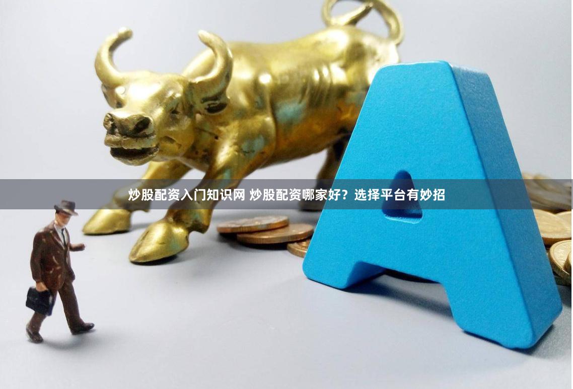 炒股配资入门知识网 炒股配资哪家好？选择平台有妙招